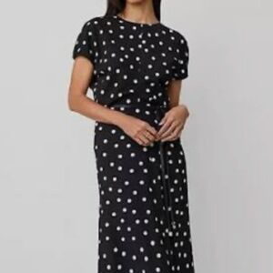 Ann Taylor Polka Dot Dotter Crepe Column Midi Dress Size 10